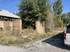 Photos