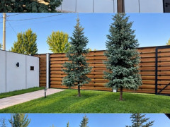 Фото