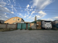 Photos