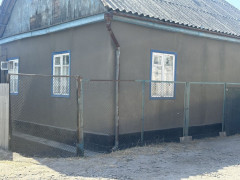 Photos