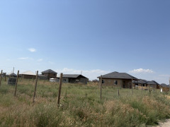 Photos