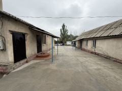Photos