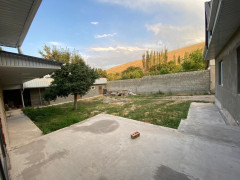 Photos
