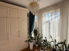 Photos