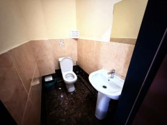 Photos
