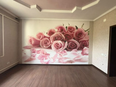 Photos