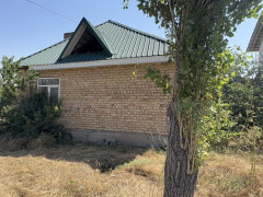 Photos