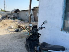 Photos