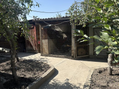 Photos