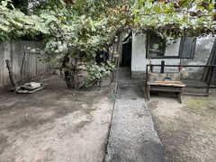 Photos