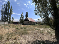Photos