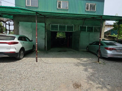 Photos