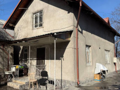 Photos
