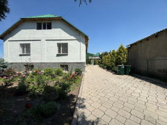 Photos