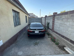 Photos