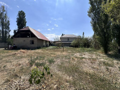 Photos