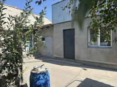 Photos