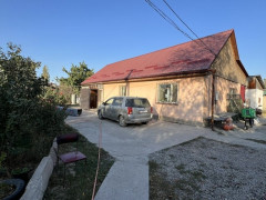 Photos
