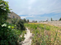 Photos