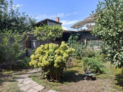 Photos