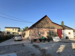 Photos