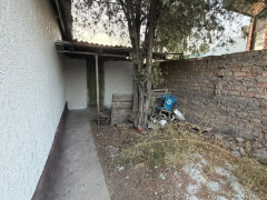 Photos