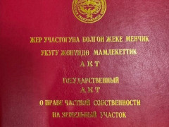 Photos