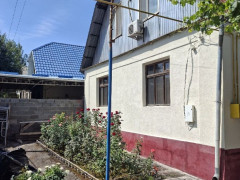 Photos