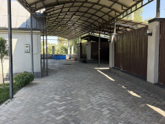 Photos