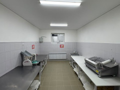 Photos
