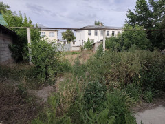 Photos