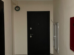 Photos
