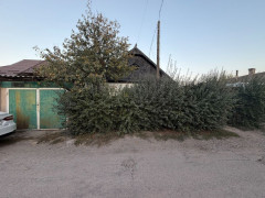 Photos