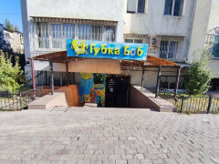 Photos