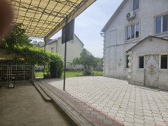 Photos