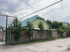 Photos