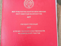 Photos