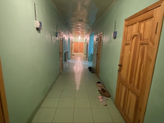 Photos