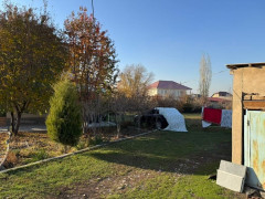 Photos