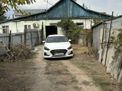 Photos
