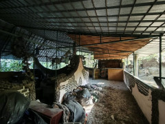 Photos