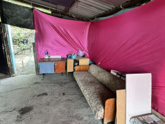 Photos