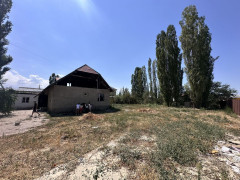 Photos