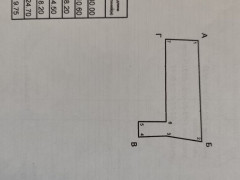 Photos
