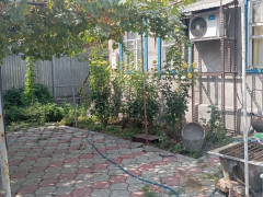Photos