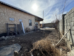 Photos