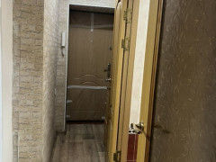 Photos