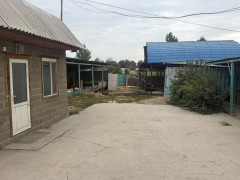 Photos