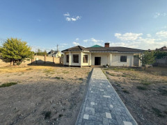 Photos