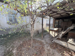 Photos